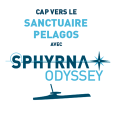 Logo O2